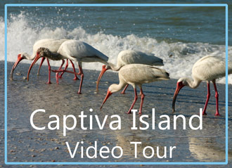 Captiva Island Video